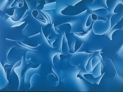 Bluebell surface Bluebell surface