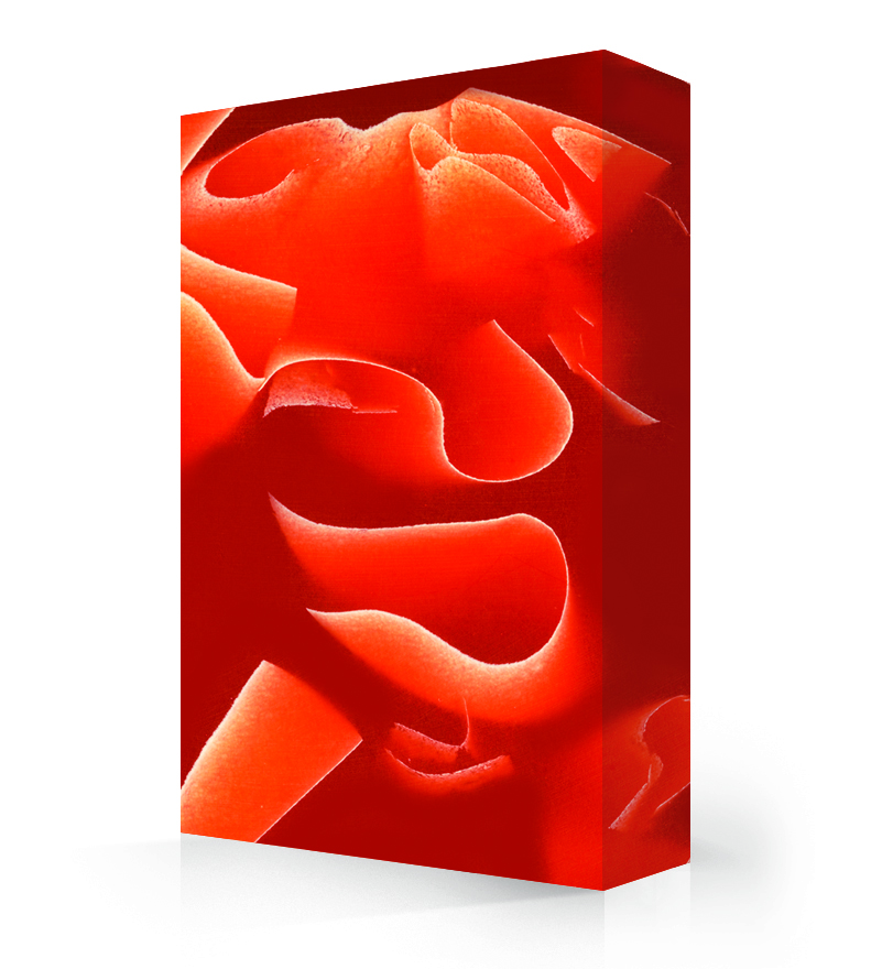 Red Currant by Avonite Red Currant by Avonite