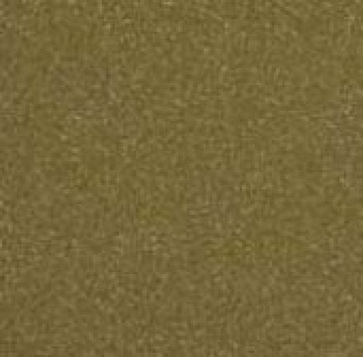 Olivite by Corian Olivite by Corian