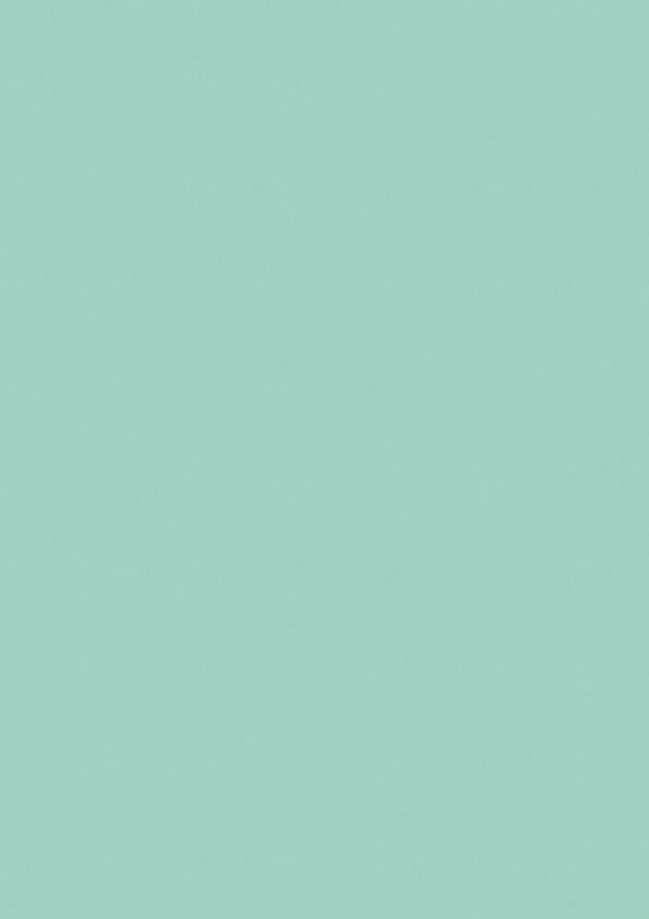 HI-MACS Emerald HI-MACS Emerald