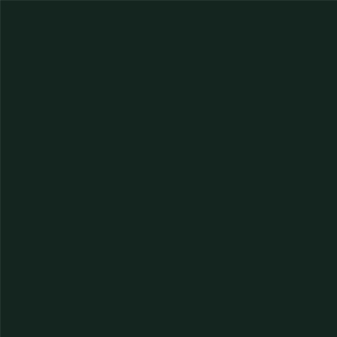 Forest by Staron Forest